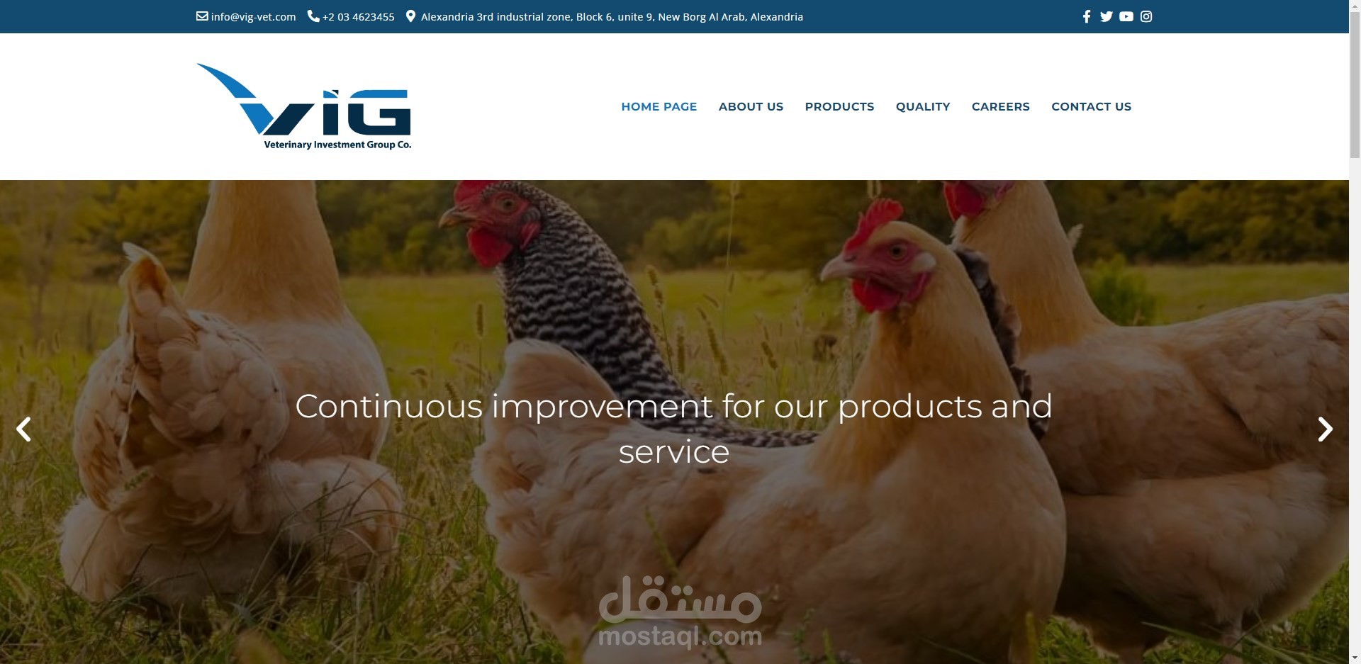 تصميم موقع للمجموعة البيطرية بمصر VIG