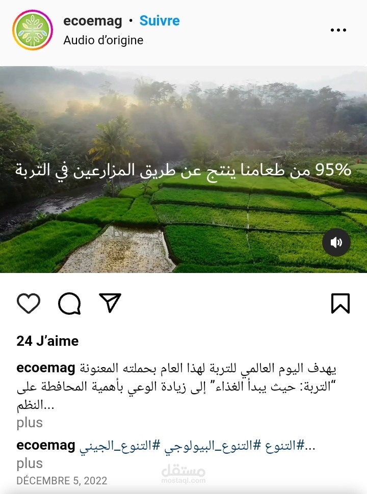 كتابة محتوى فيديو