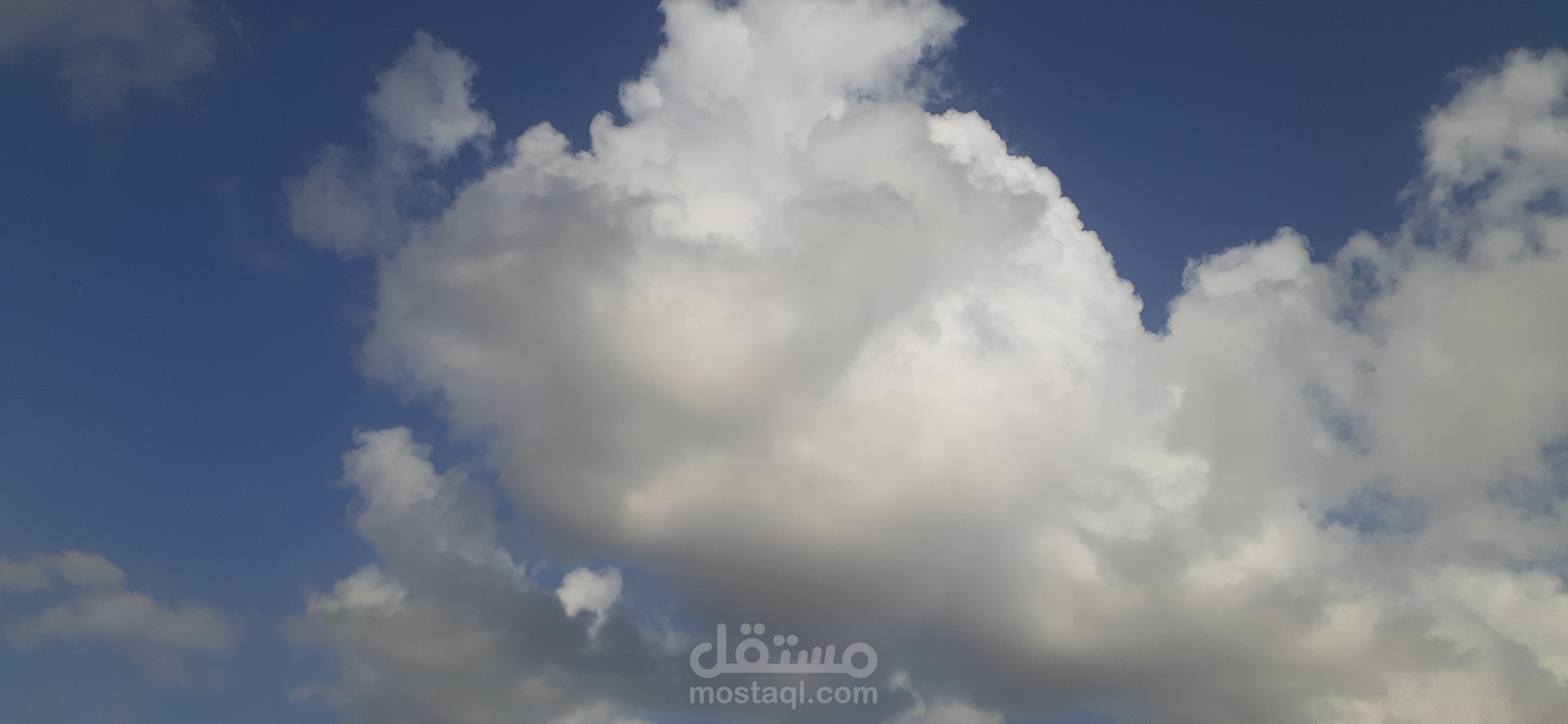 الاسكندريه