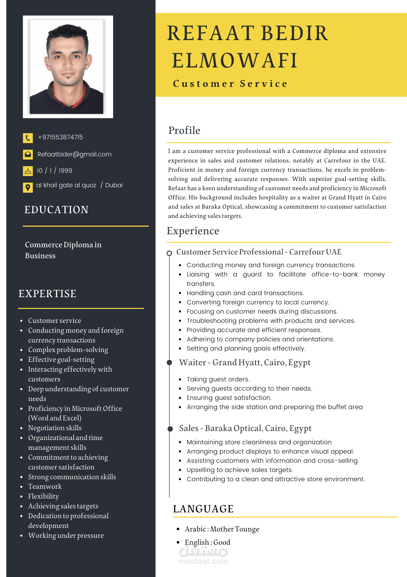 سيرة ذاتية إحترافية