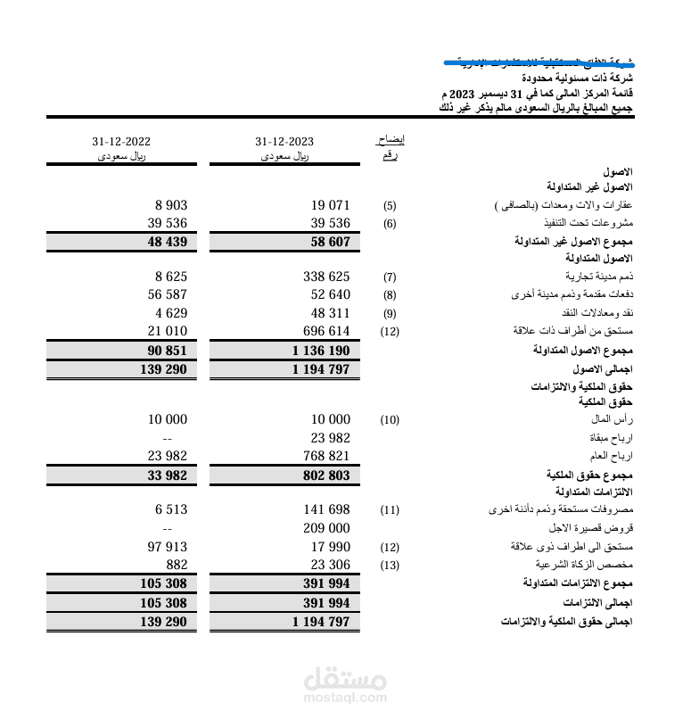 القوائم المالية لسنة 2023 لشركة ذات مسئولية محدودة