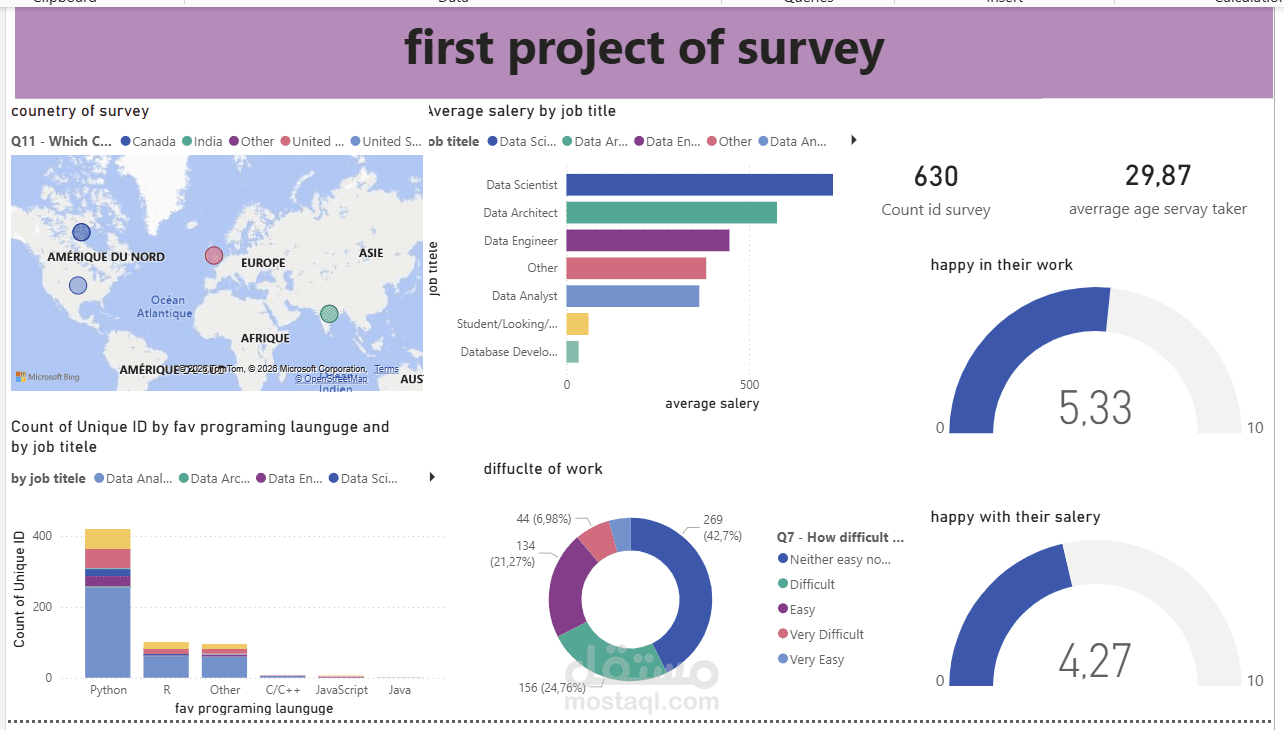 first bi project