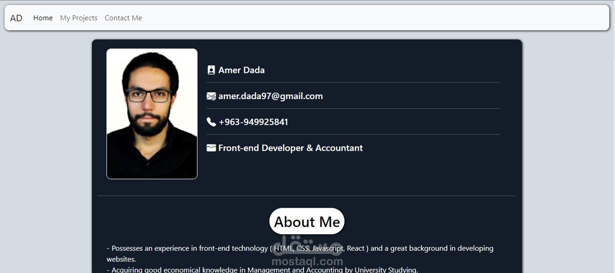 Amer Dada Portfolio