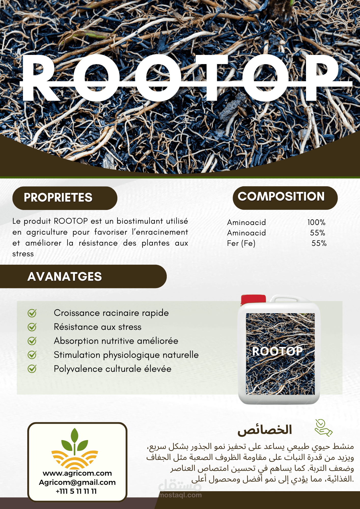تصميم بروشور منشّط الجذور