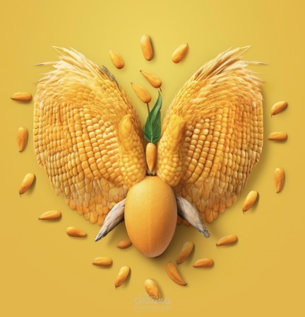 تصميم الشعارات وتعديل الصور