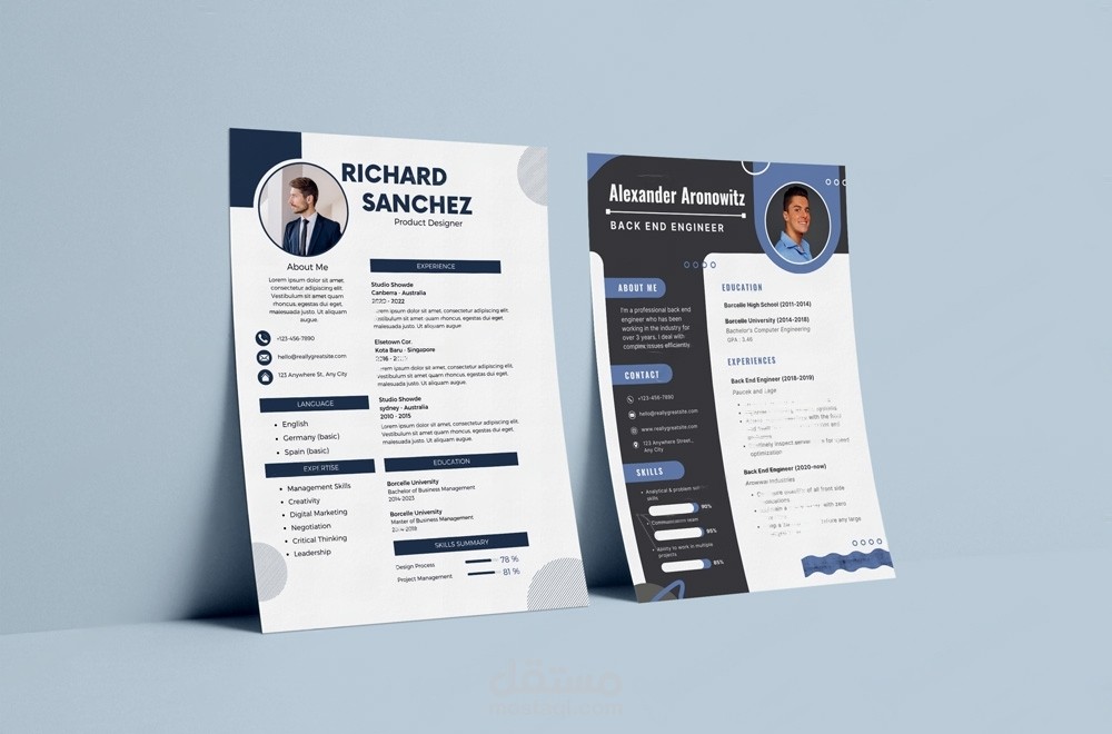 سيره ذاتيه احترافيه باعلي جوده