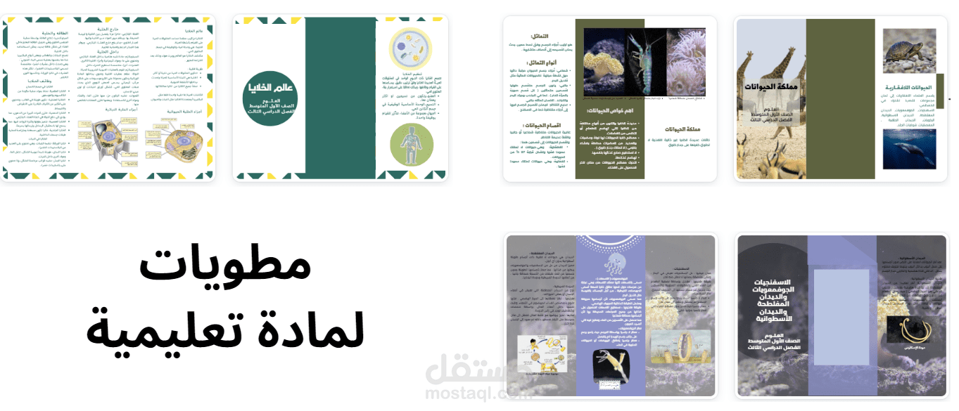 مطويات لمادة تعليمية