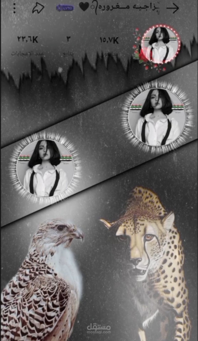 تصميم ديزاين