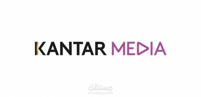 NET software developer.