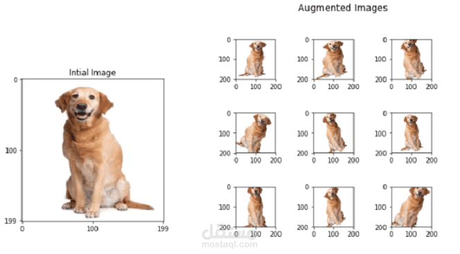 Automated Image Augmentation for Object Detection Datasets