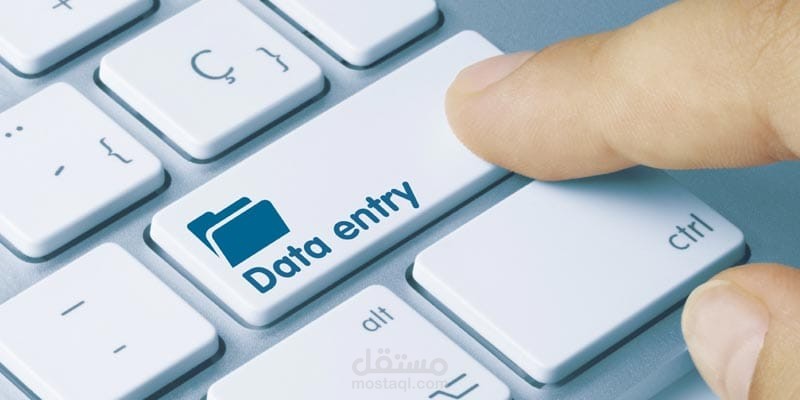 إدخال البيانات Data Entry