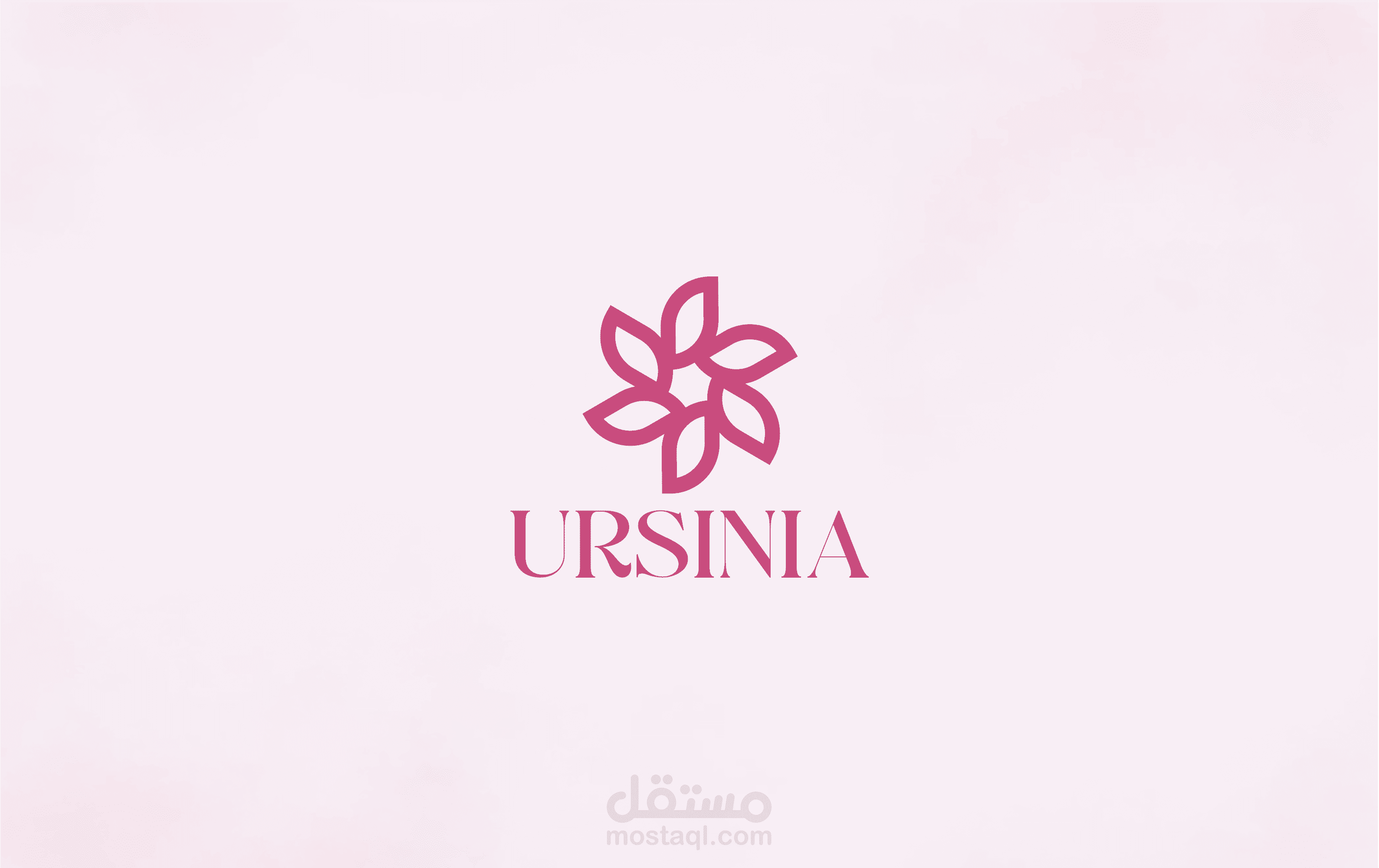 Ursinia-brand identity
