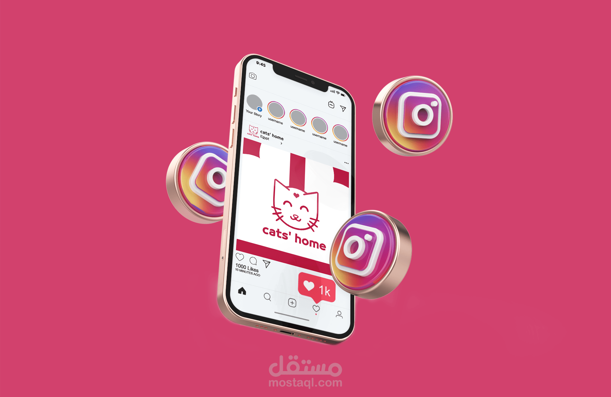 cats home-brand identity