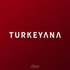Data Team Lead - Turkeyana Clinic
