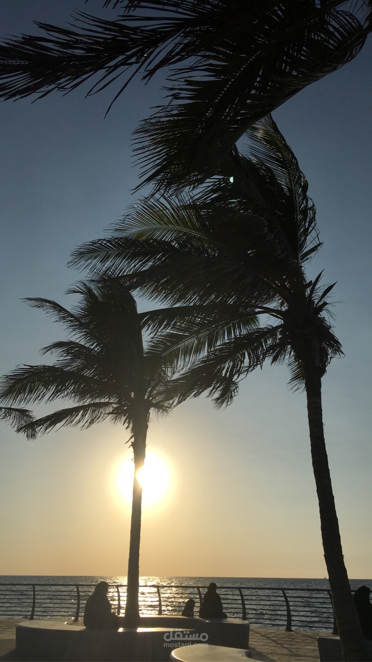 سناب عام