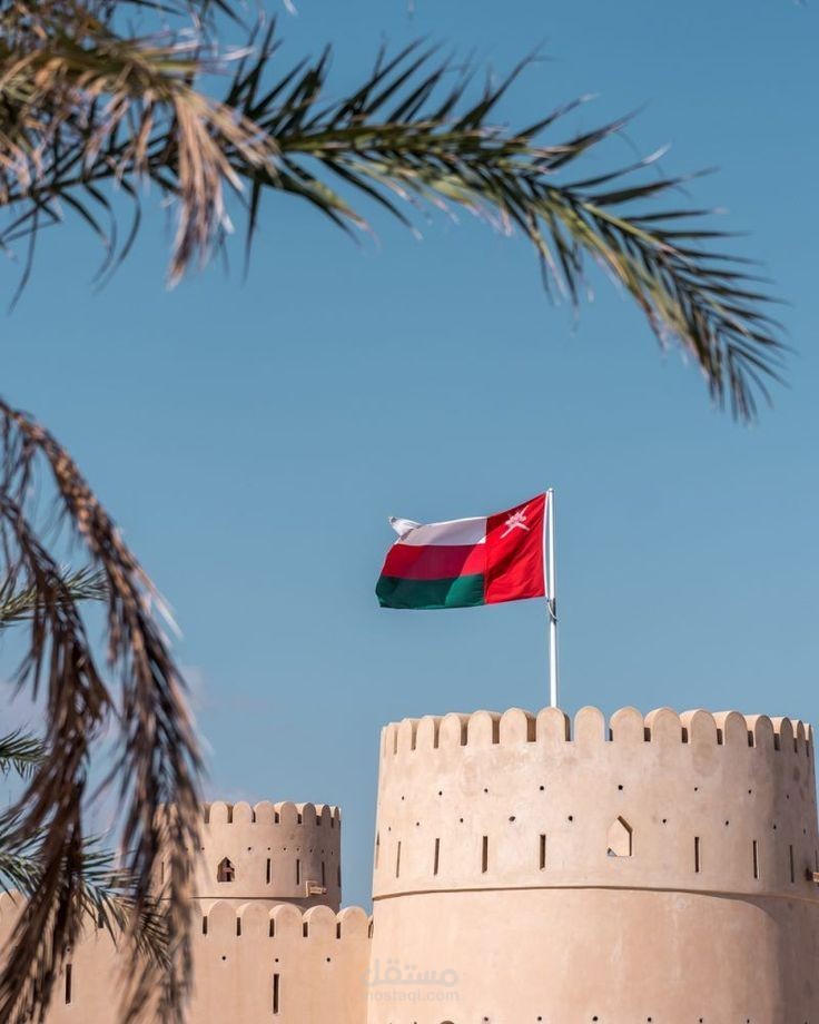 دراسة العوامل المؤثرة في ريادة الأعمال – رؤية عُمان 2040