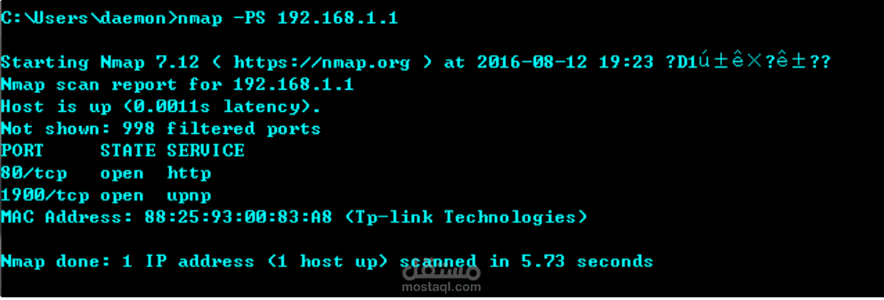 Network Vulnerability Assessment