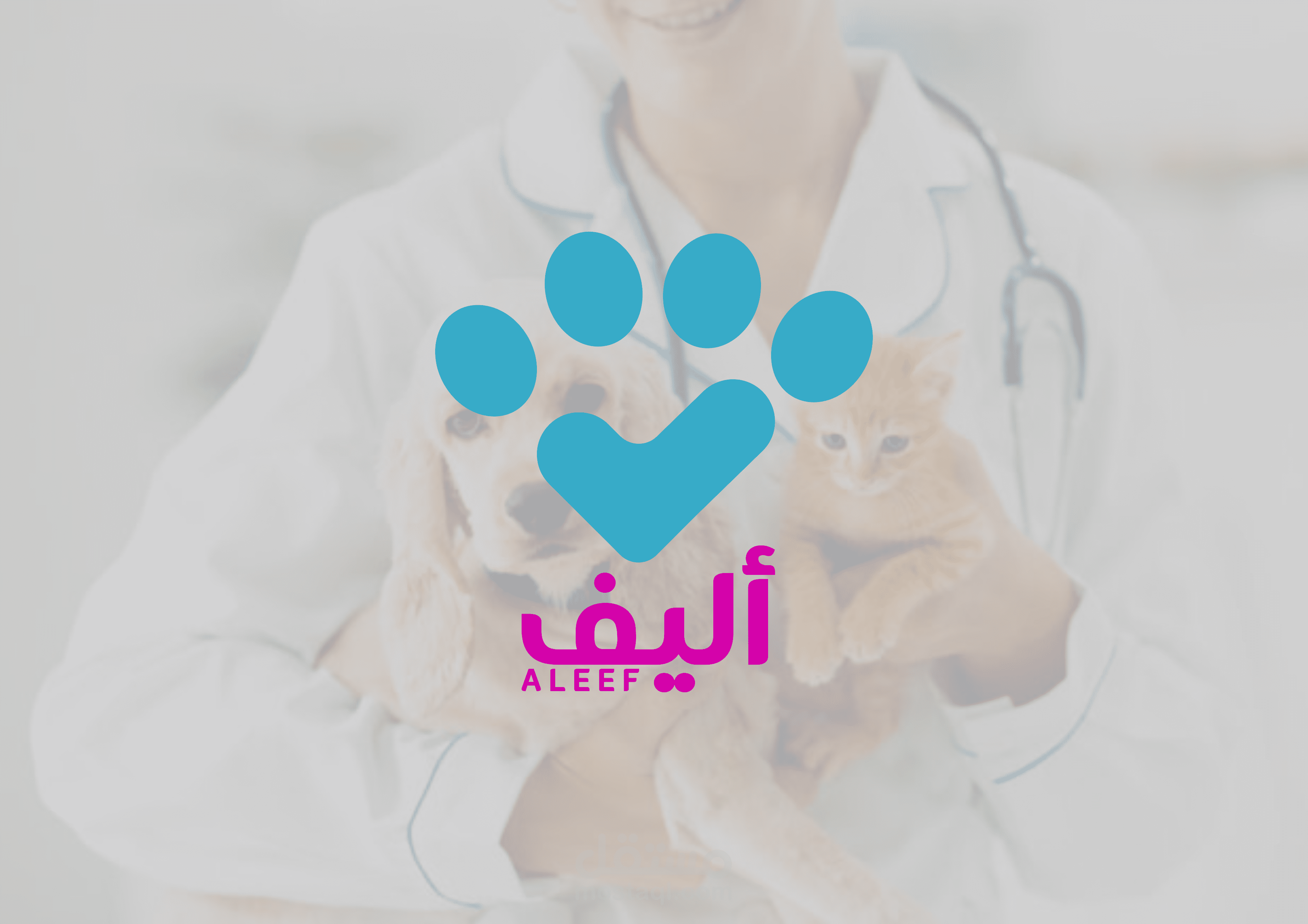 هوية لعيادة بيطرية