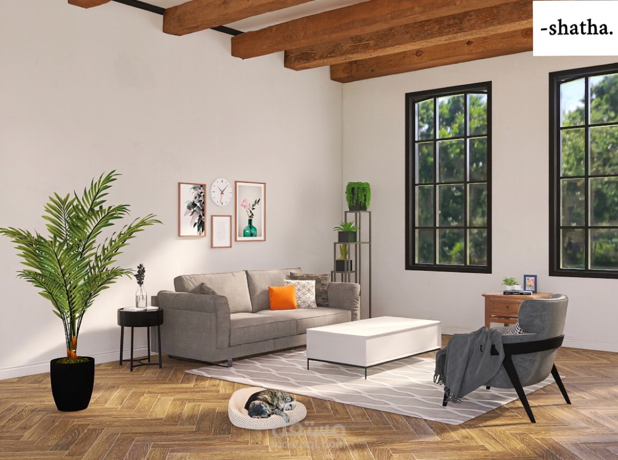 صالة داخليه مطله