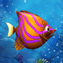 Fish Frenzy