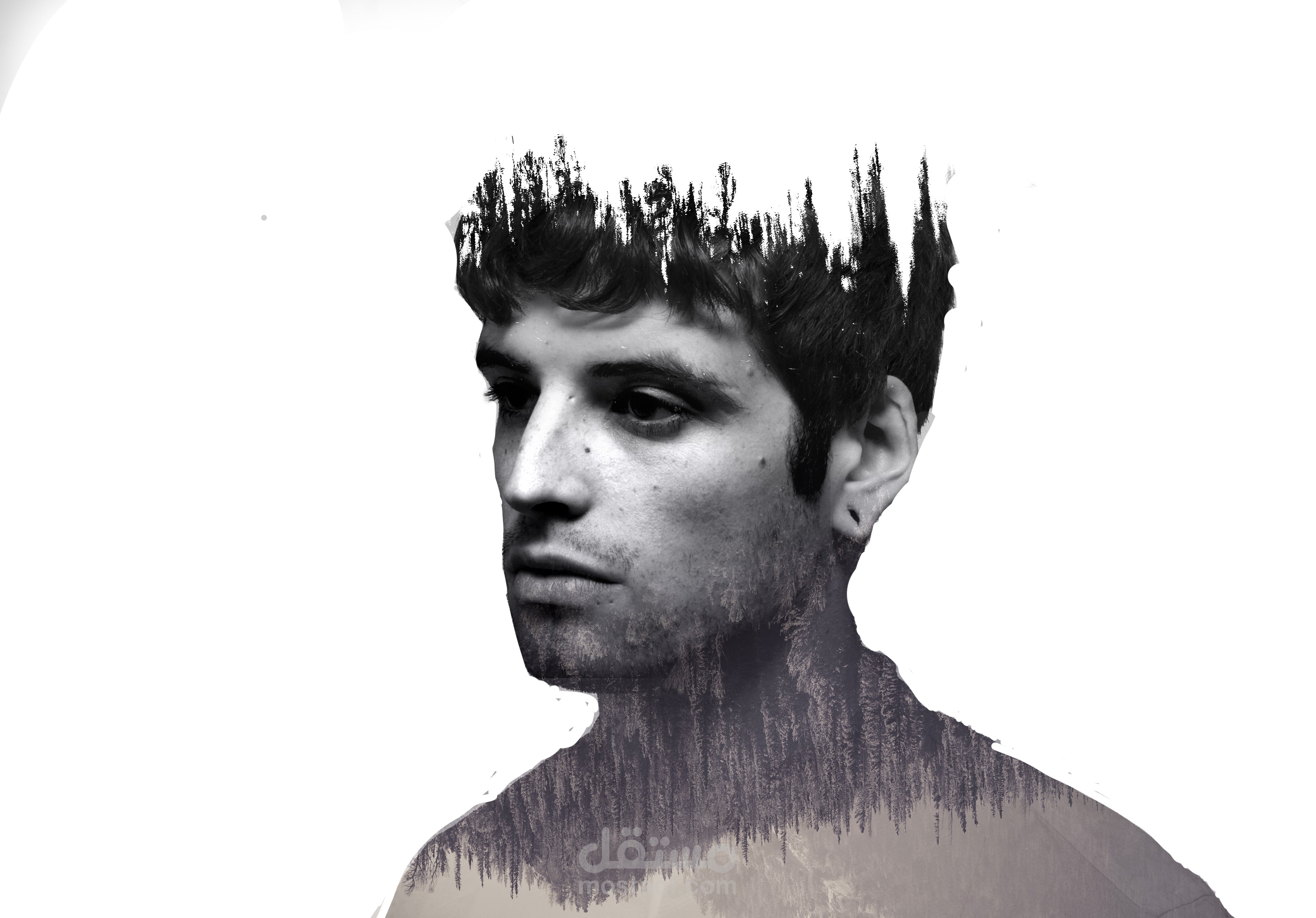 الدمج الاضائي