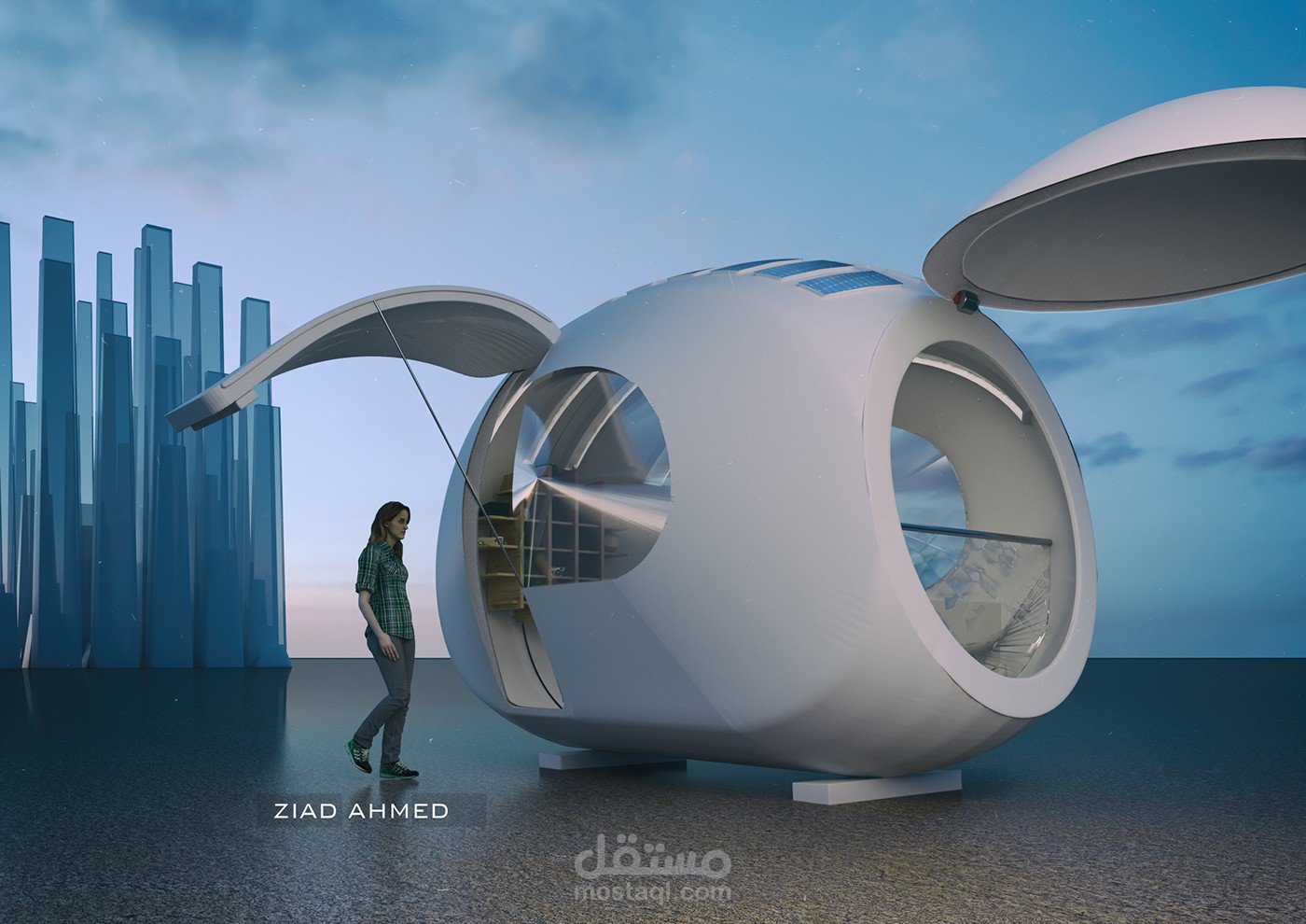 Eco Home ''Capsule''