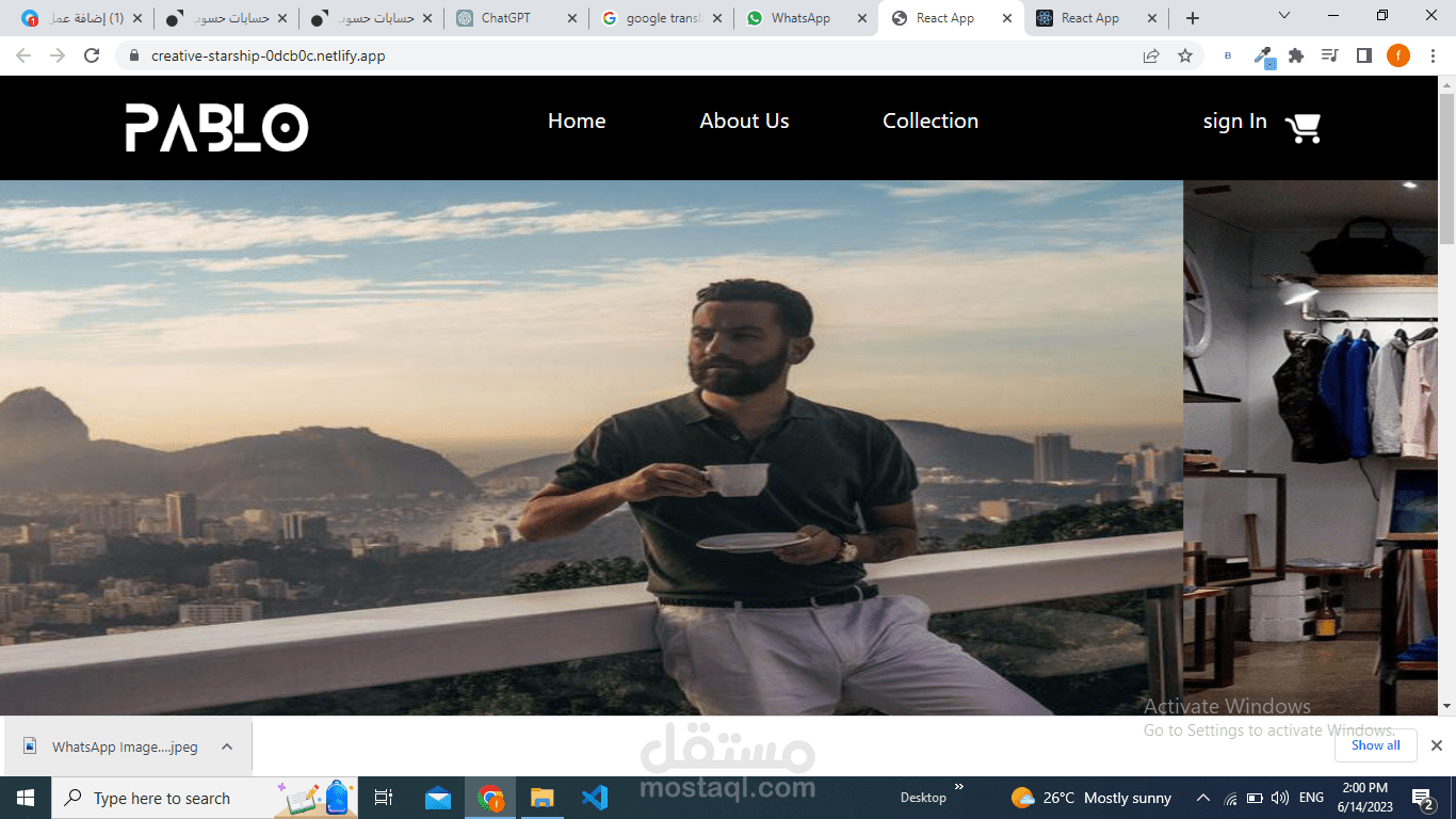 ecommerce website for Pablo shop