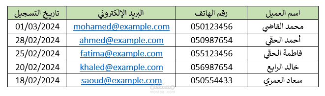 إدخال وتنظيم بيانات عملاء في ملف Excel
