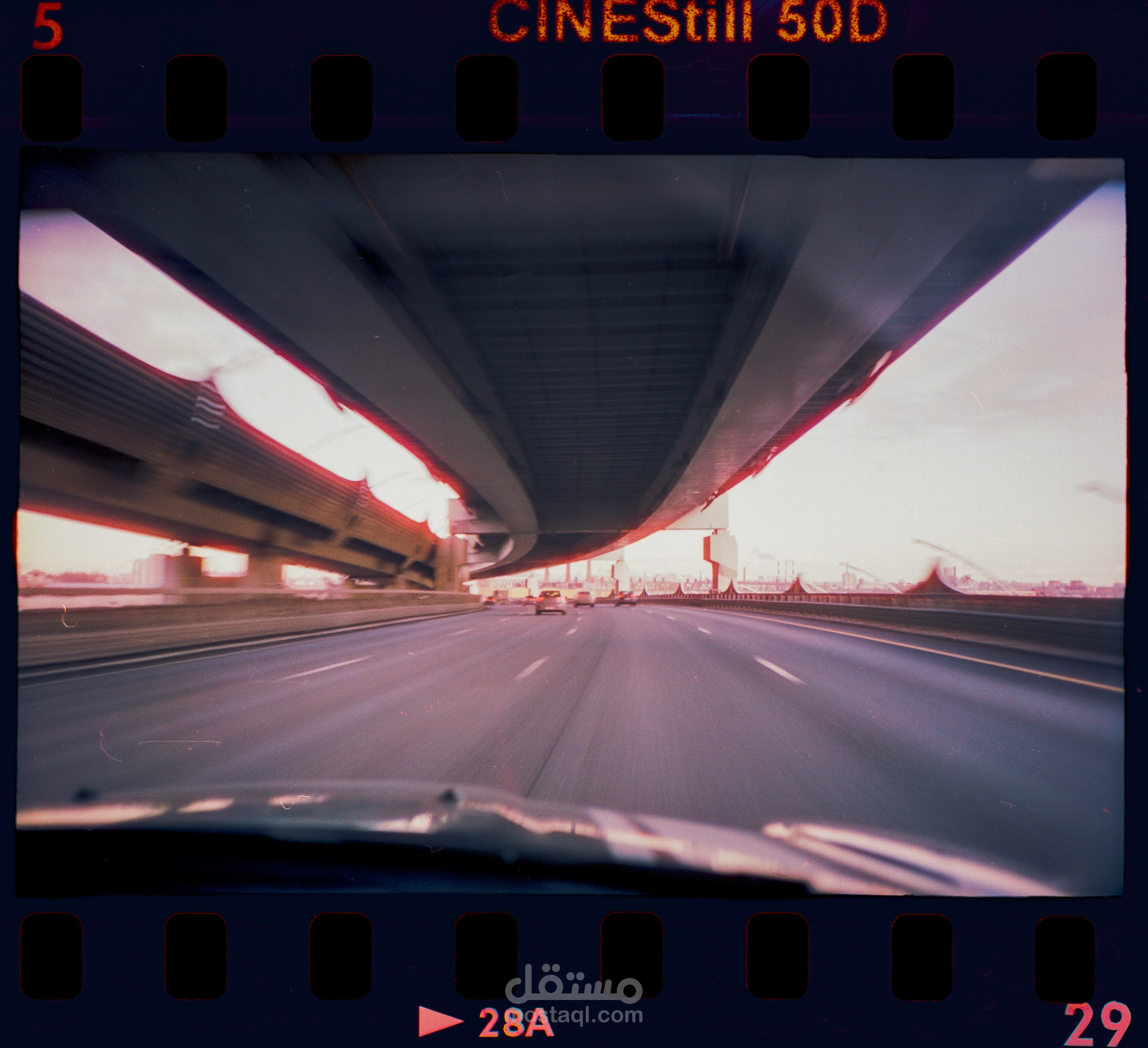 مصور محترف