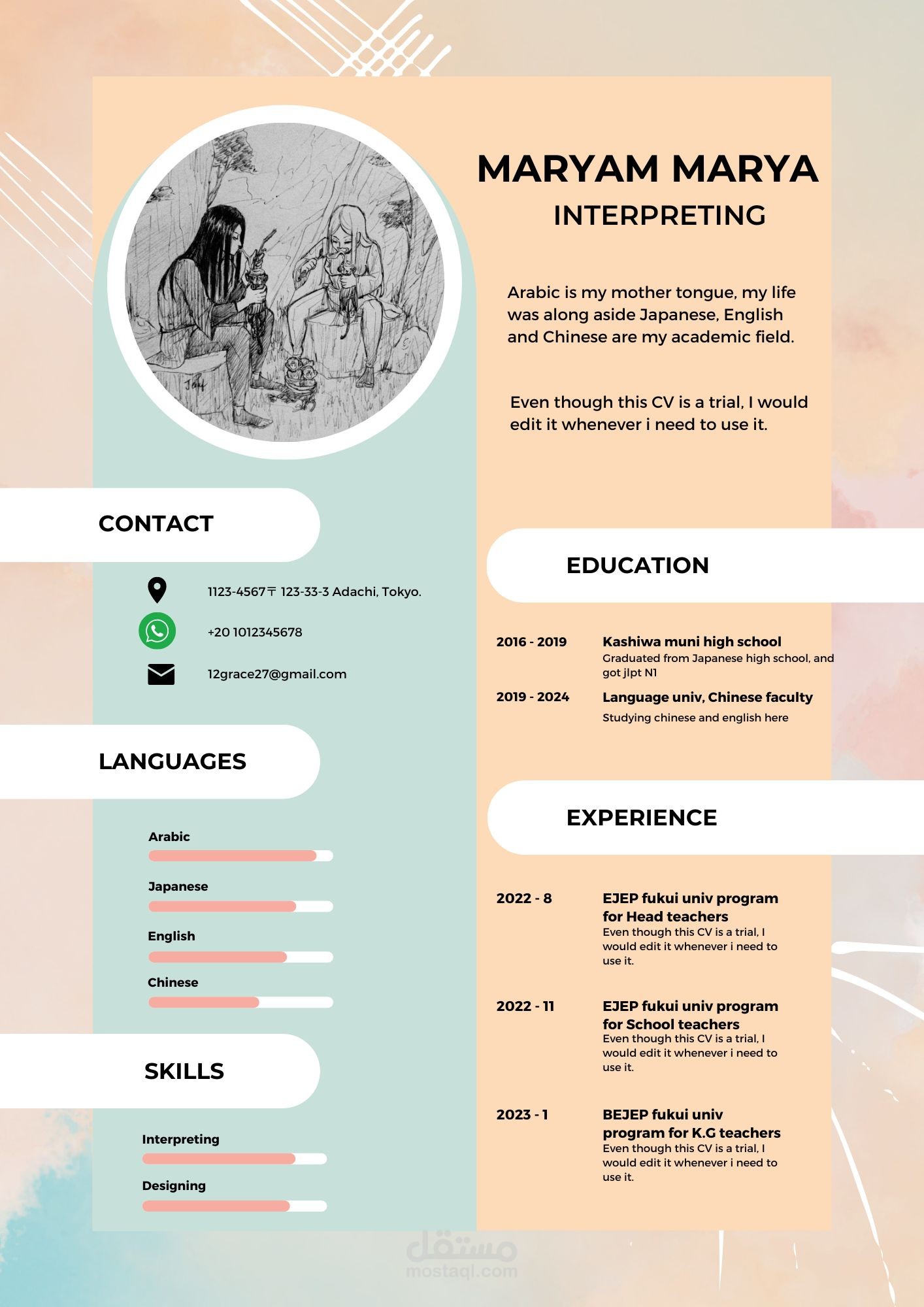 نموذج من عدة نماذج لل CV