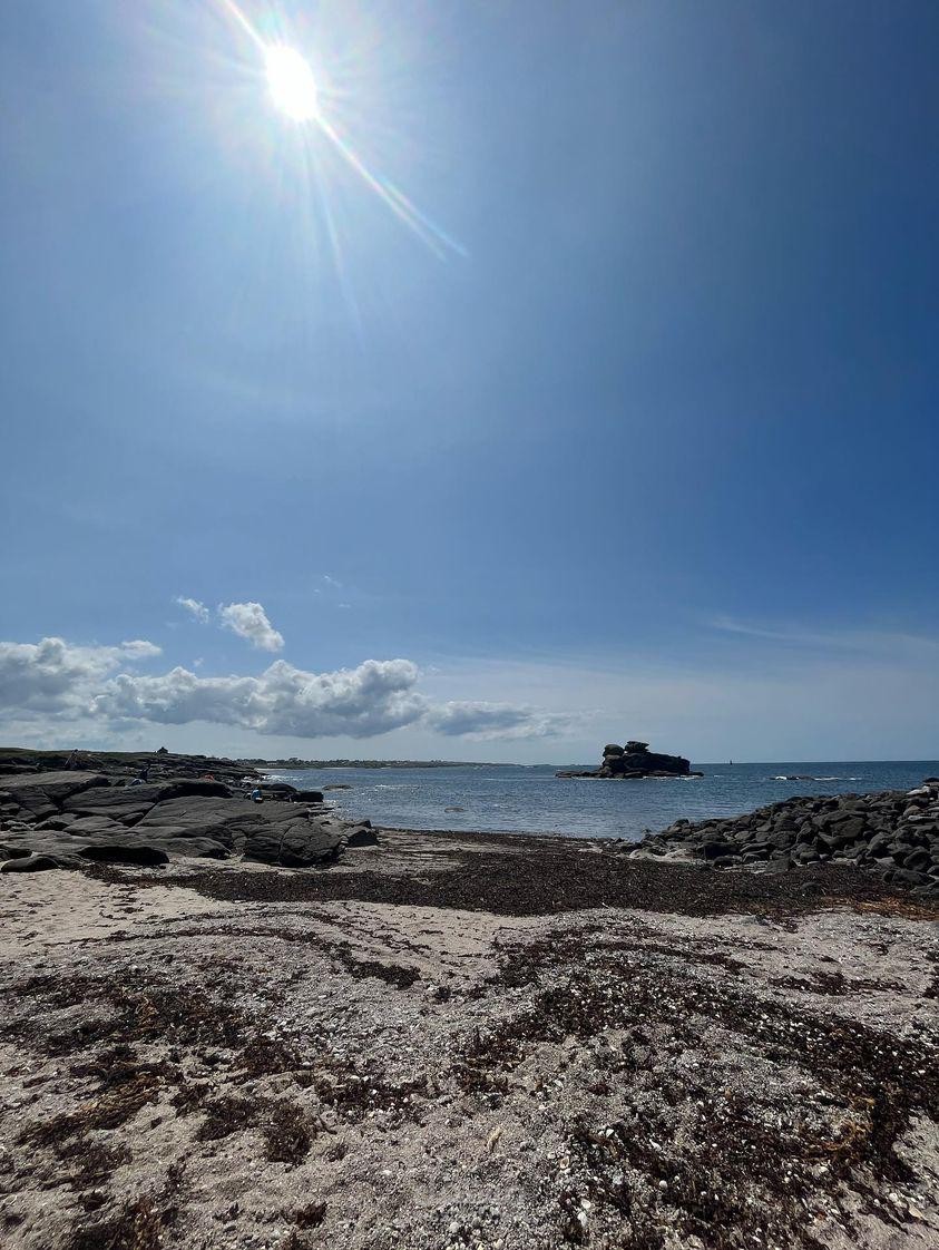 Alger, algerie . Désigner