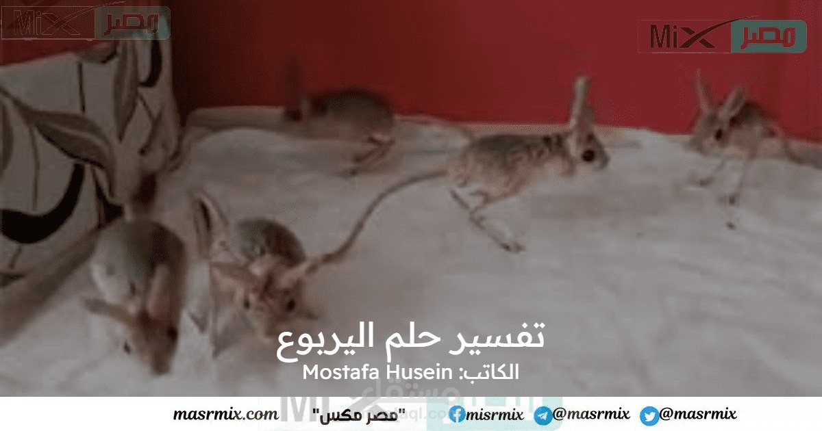 تفسير حلم اليربوع في المنام