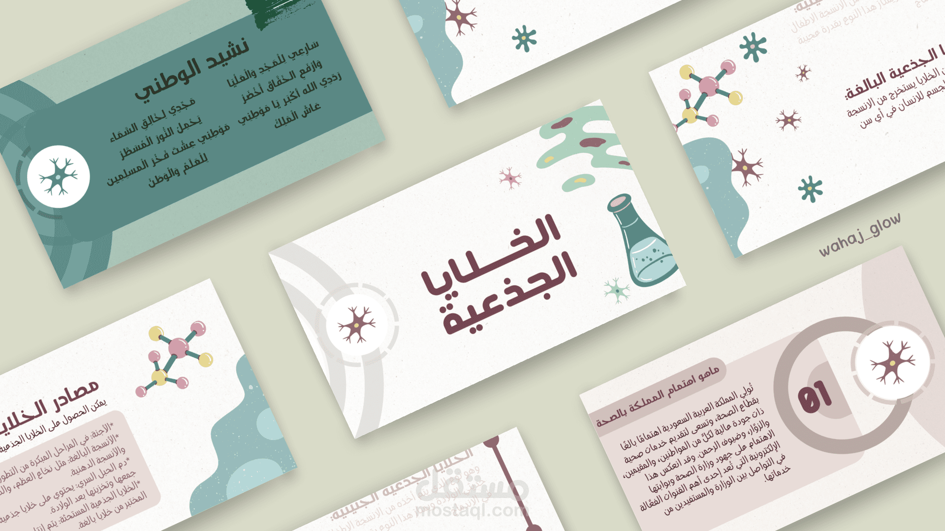 تصميم عرض تقديمي كانفا | شرائح مرتبة بتنسيق احترافي وألوان متناسقة