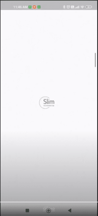 Slim Diet