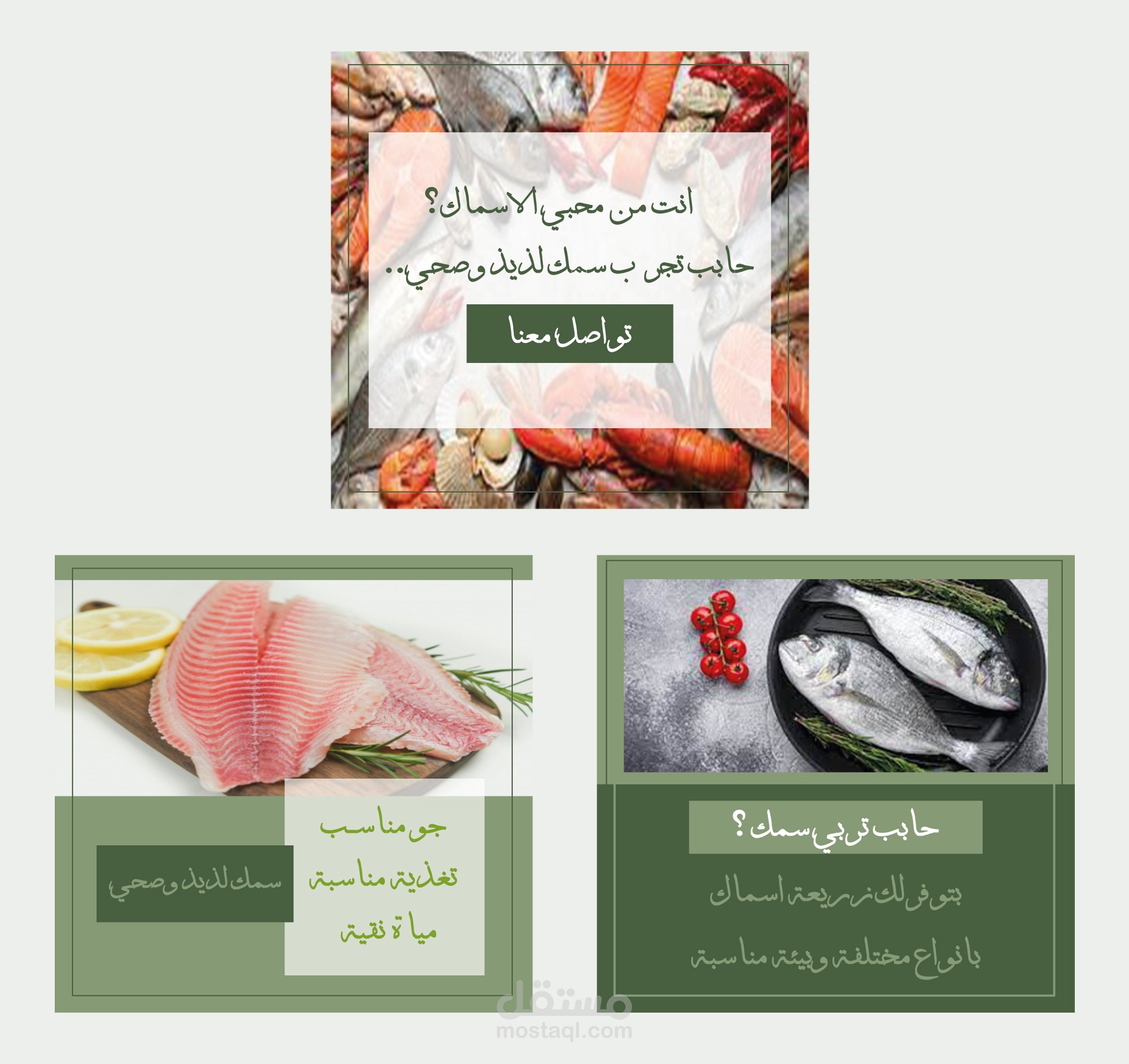 تصاميم سوشيال ميديا