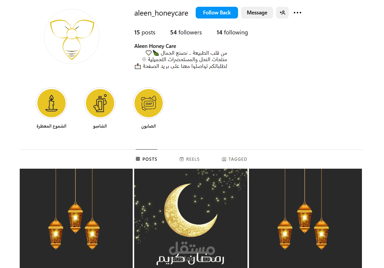 كتابة محتوى وإدارة صفحة انستاغرام بالإضافة لتصوير وتعديل فيديوهات الريلز