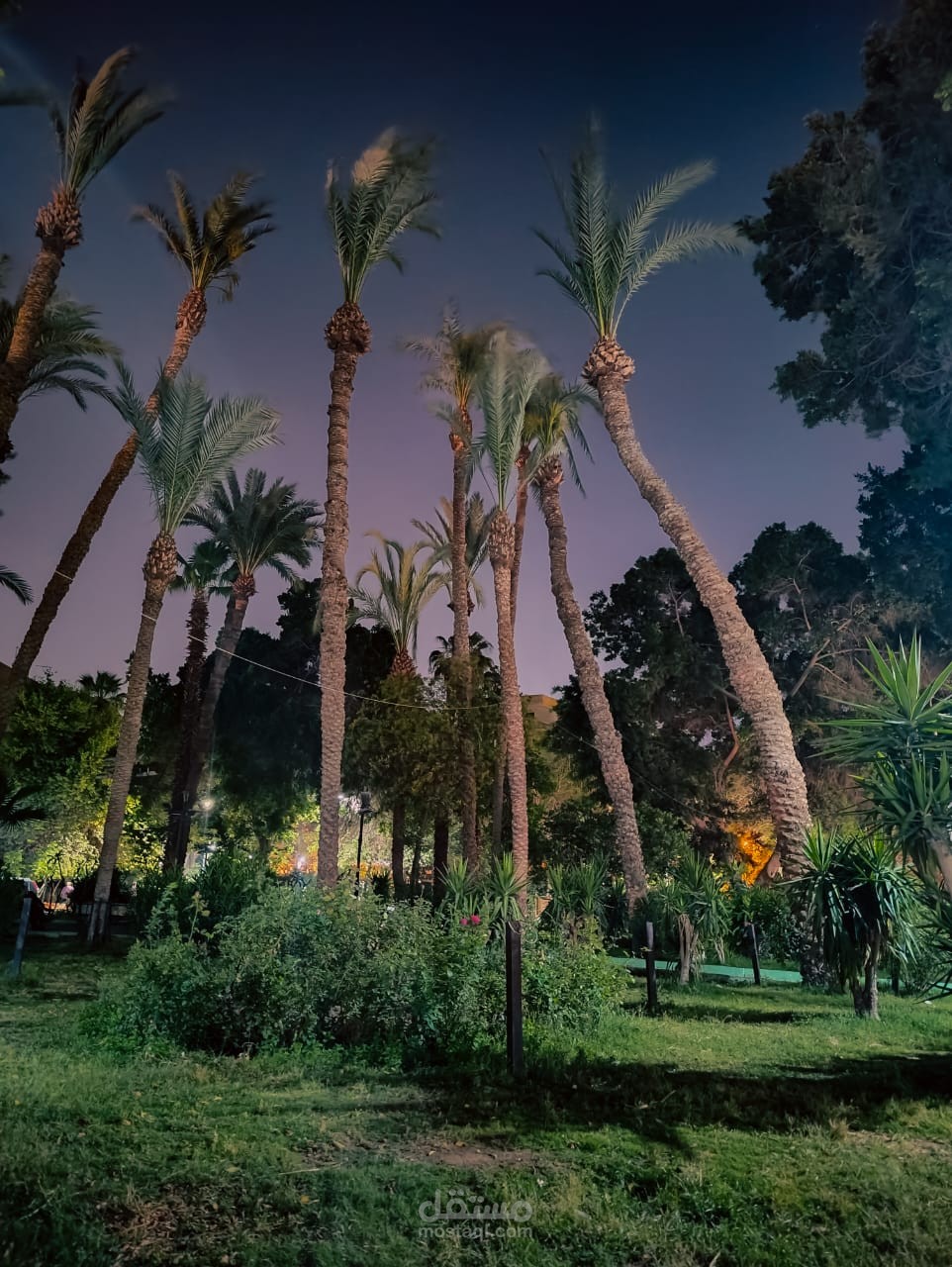 تعديل صور تعديل الاوان