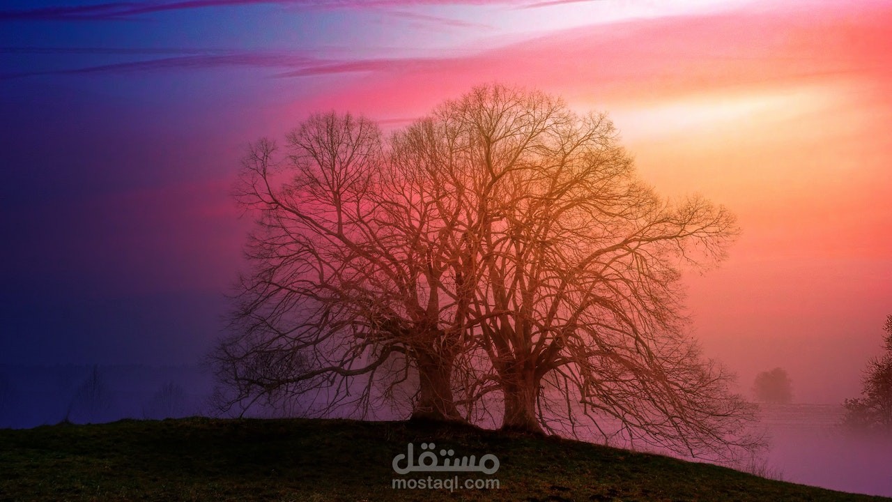 تصميم ومونتاج فيديوهات مختلفة