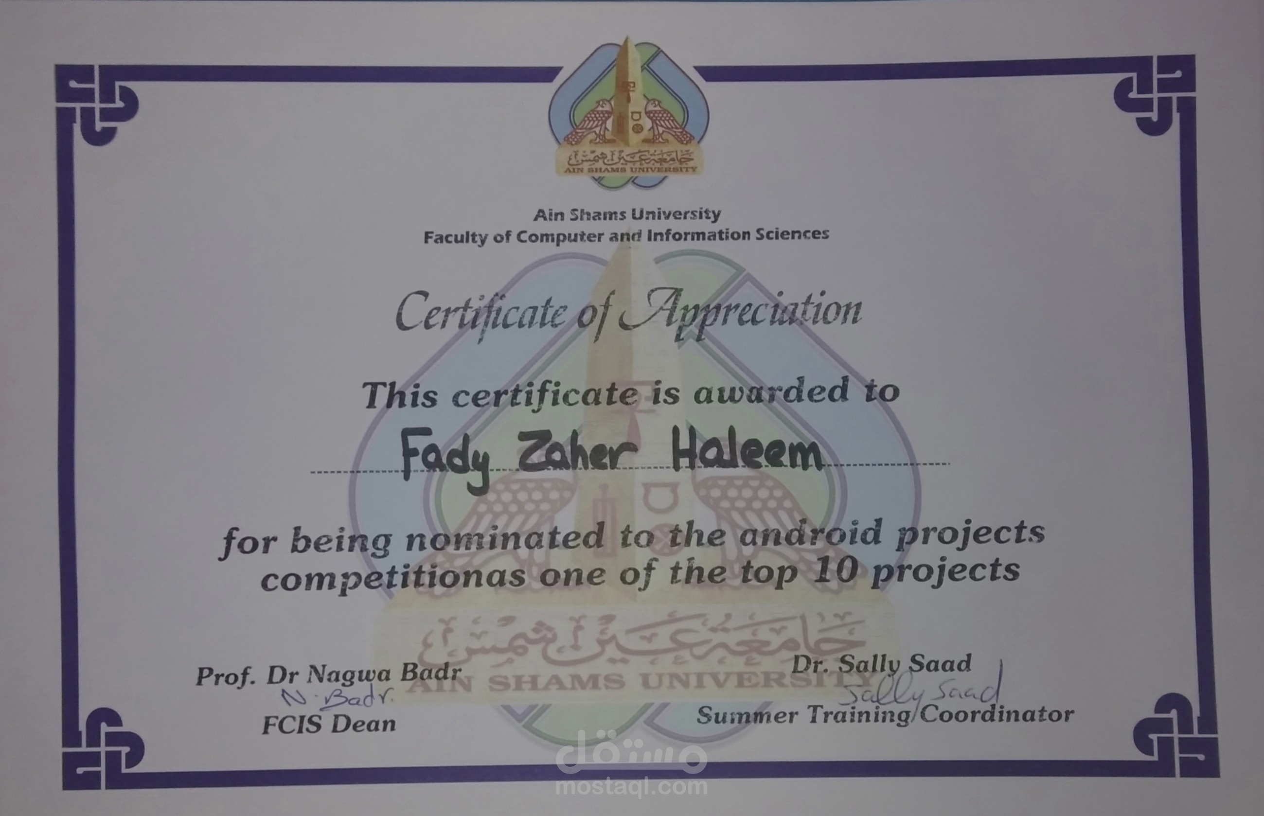 Software mobile development