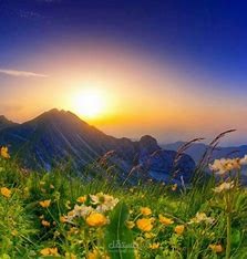 صور خلابة