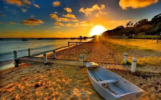 تعريف   الديمقراطية