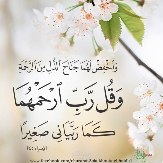 بحث جامعي، تفسير آية جناح الذل