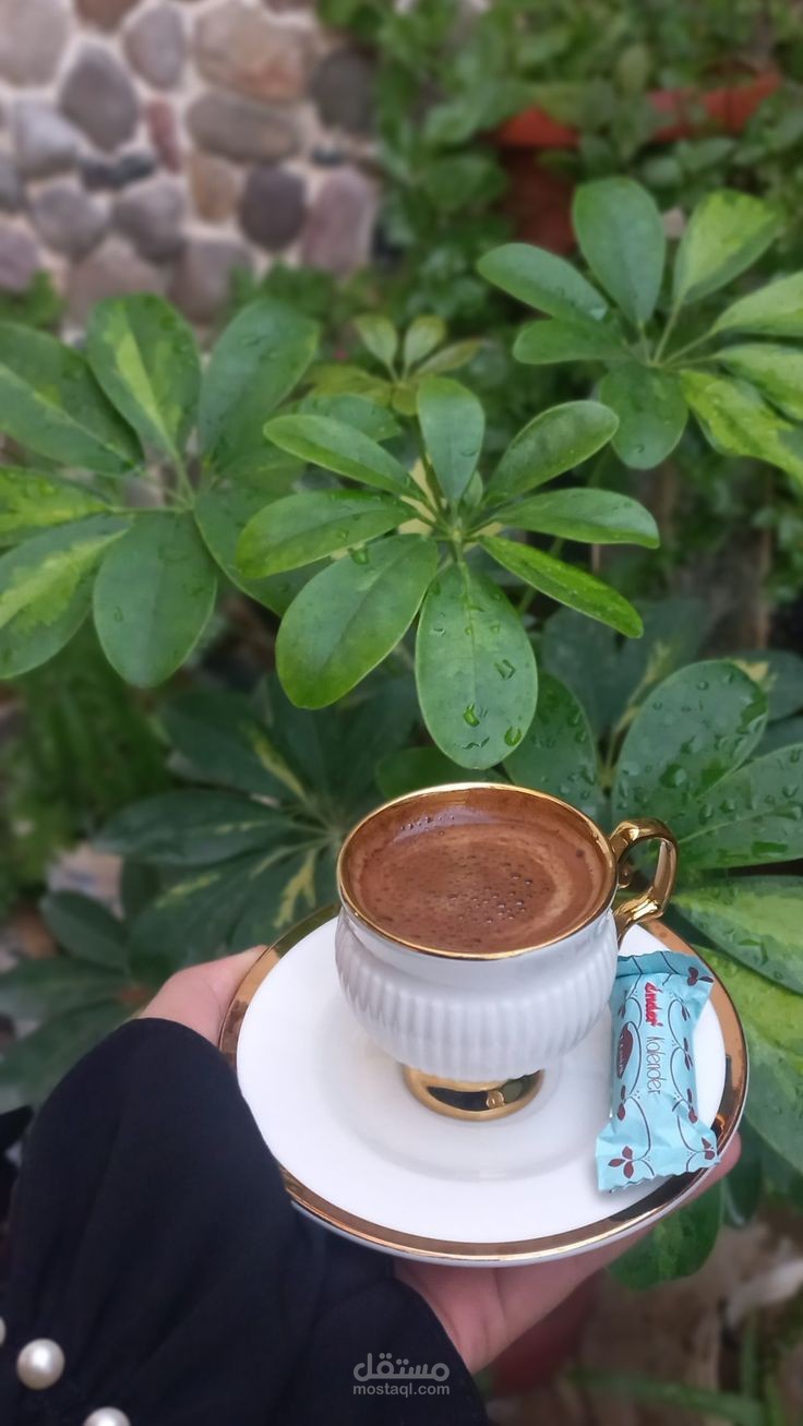 أبيات شعر