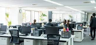 دراسة جدوى مكتب توظيف