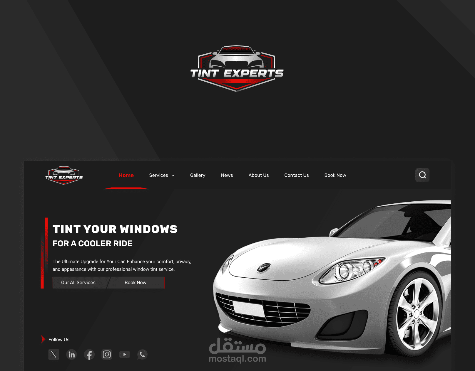 TINT EXPERT