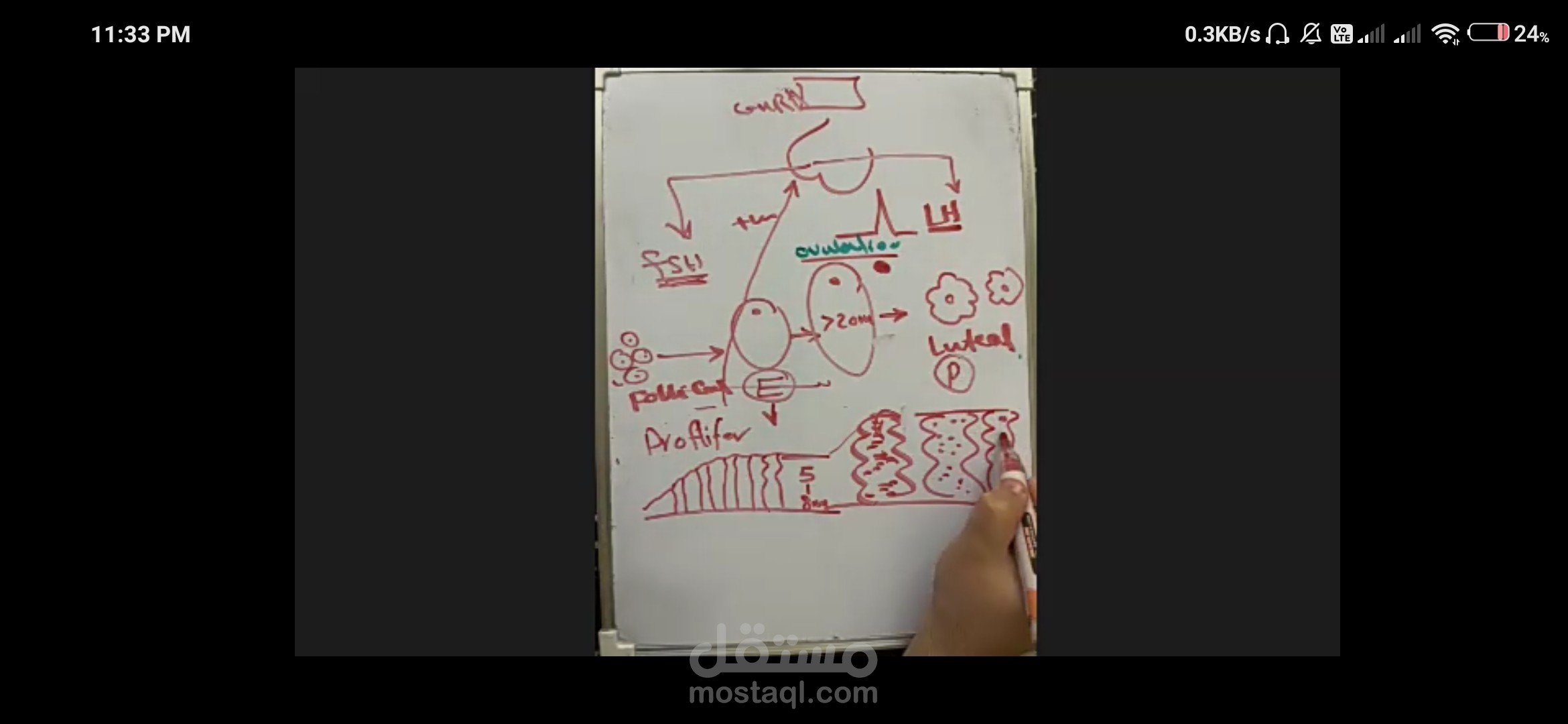 مصر موقع الزوم