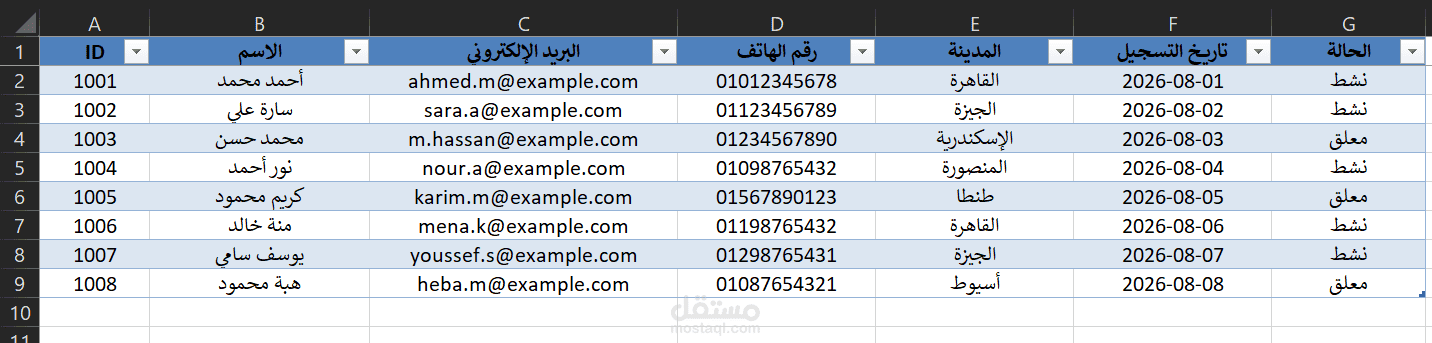 إدخال وتنظيم البيانات باستخدام Excel
