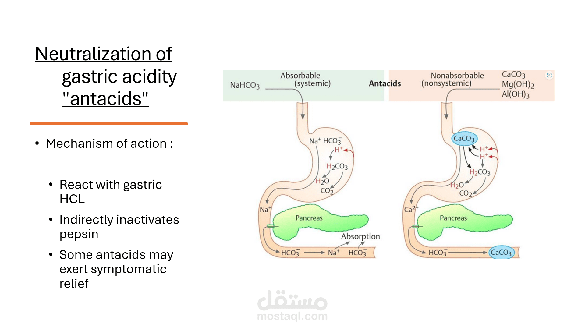 power point pharmacology