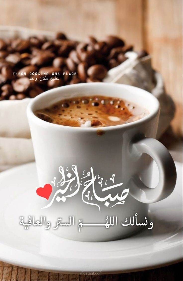 تأليف سيناريو وحوار وكتابة مسرحيات