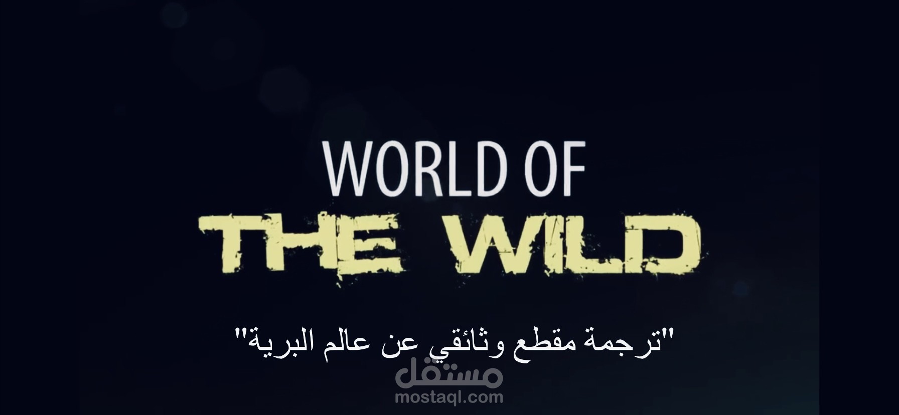 ترجمة مقطع فيديو وثائقي من اللغه الانكليزية الى اللغه العربيه